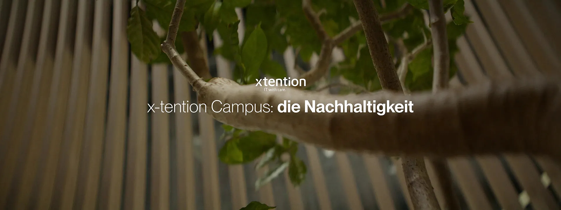 Episode 4: Die Nachhaltigkeit