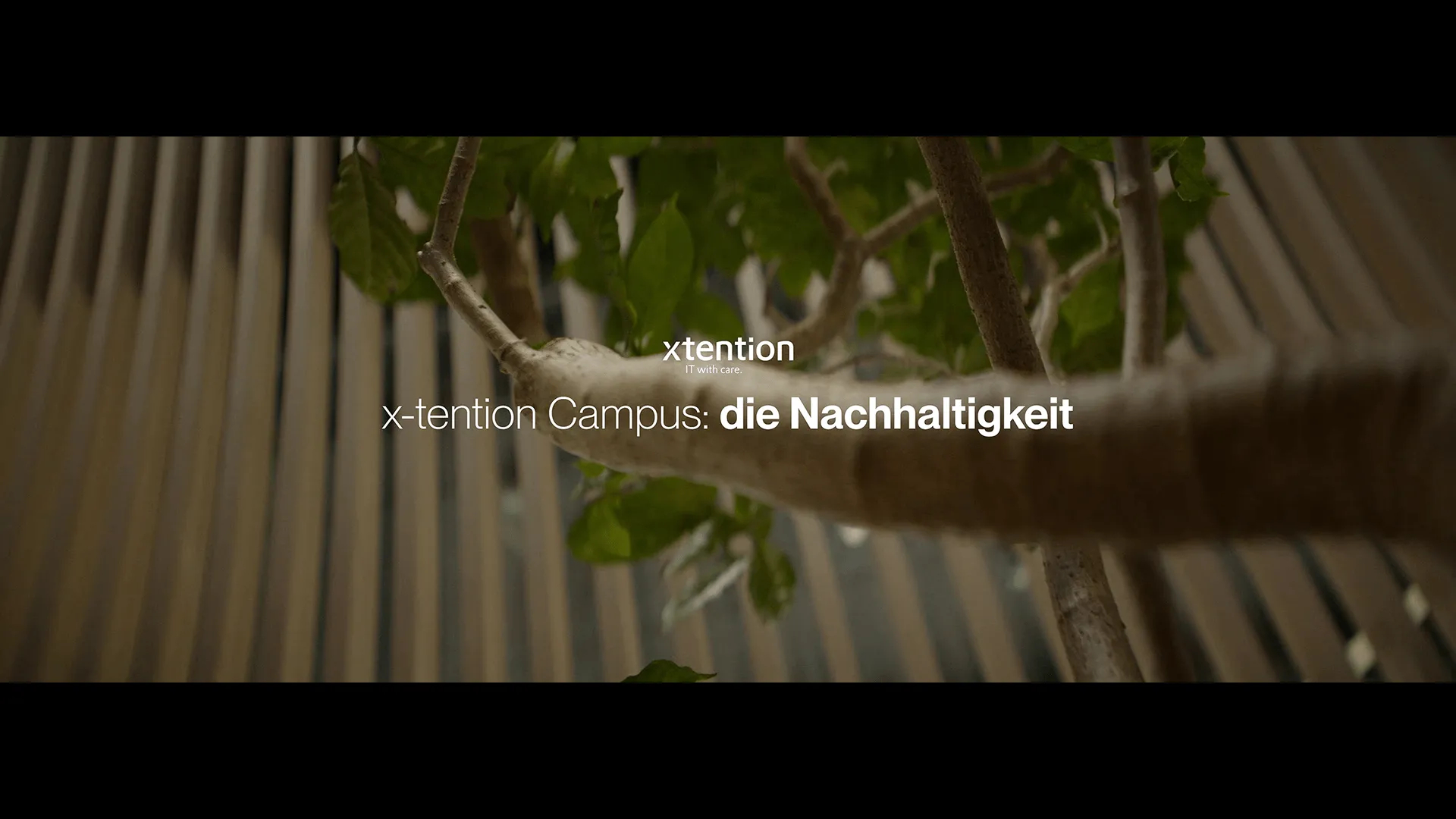 Episode 4: Die Nachhaltigkeit