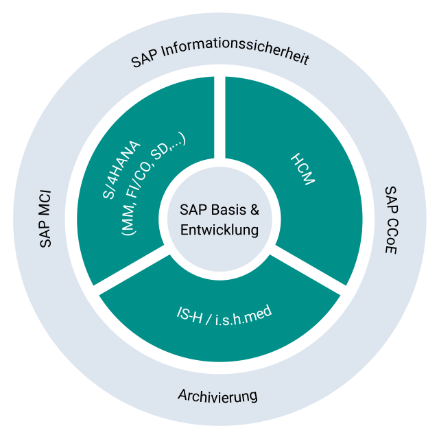 SAP Basis und Entwicklung